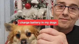 Live talk show with my robot dog 