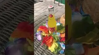 The Pop Shoppe Pineapple￼ #shorts #viral ￼#popshoppe #sodacarter