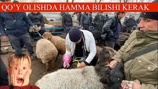QOY OLISHDA BUNI BILMASANGIZ ALDANIB QOLASIZ dekabr, 2025