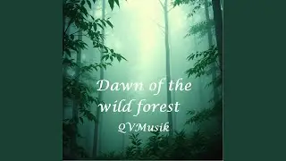 Wild forest dawn (the rain slowed 1)