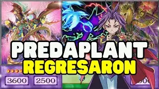 El DECK de YURI REGRESA MEJOR que NUNCA con NUEVO SOPORTE para VENCER a TODOS en Yu-Gi-Oh Duel Links