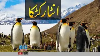 Antarctica | History, Facts & Climate