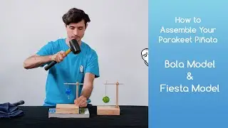 How to Assemble your Parakeet Pi&ntilde;ata | Bird Toy | Reiki Zen Bird Shop | Parakeet Conure Cockatiel