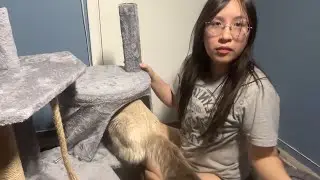 First time Building Cat tower without instructions and missing parts!! I Won the cat tower for $3
