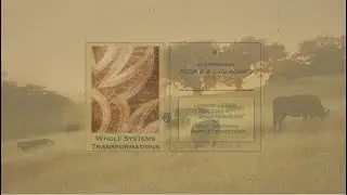 Whole Systems Transformations  (W.e.S.T.)