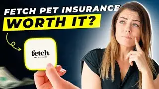 Fetch Pet Insurance Review 2025 | Pros and Cons | Detailed Overview