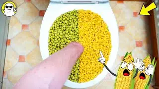 Will it Flush? Lots Of Peas & Sweetcorn