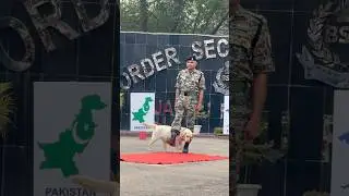 Bsf Jawan 👮🏻&zwj;♂️and bsf Dog 🐶 #dog #dogs #dogshorts #shorts #shortvideo #bsf #army #love
