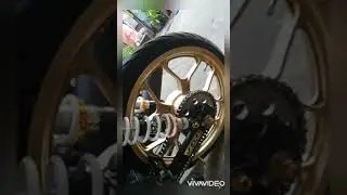 Vega Force FI Final Modification