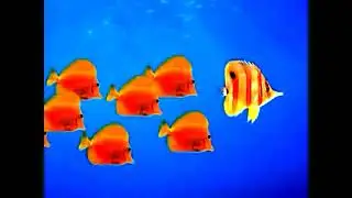 What's Wrong With This Tropical Fish Picture? - ( Scary Pop Up) [Re-Upload].wmv