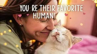 😺 &ldquo;10 Little Things Your Cat Does That Prove You&rsquo;re Their Favorite Human!&rdquo; 💖