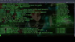 LazyOwn Search exploit powered by Searchsploit and Thanks to Sicat 🐈