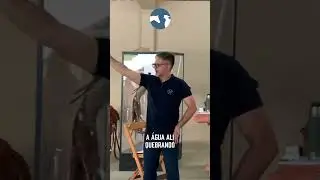 Reduzir os custos &eacute; o jeito mais r&aacute;pido de quebrar o haras! O segredo est&aacute; em saber onde gastar &hellip;