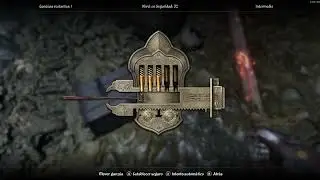 Exploración simple - The Elder Scrolls IV: Oblivion Remastered