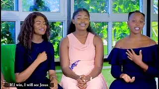 TAJI YA JOHARI // MSANII MUSIC GROUP