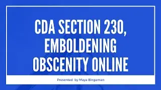 Finding Fault in Section 230 of the CDA