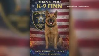 Hancock County Sheriff's Office looking for new service dog after K9 retires