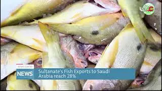 Sultanate's Fish Exports to Saudi Arabia reach 28%