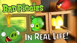 BAD PIGGIES in Real Life!