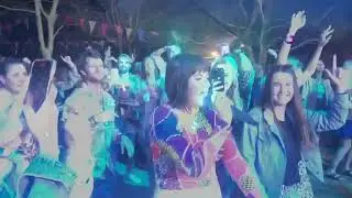 beats in the bush