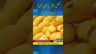 Climate change: Crop affected, reduced mango production in Pakistan