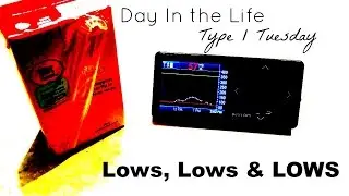 Day in the Life Low Blood Sugar | Type I Tuesday