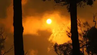 Emergency fire warning issued on NSW mid-coast