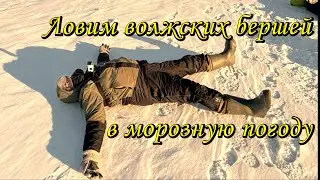 ЛОВИМ ВОЛЖСКИХ БЕРШЕЙ В МОРОЗНУЮ ПОГОДУ