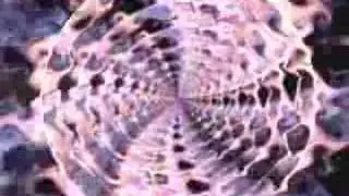 Slinky Wizard