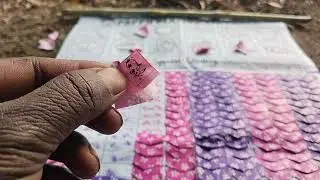 Pappu playing games 