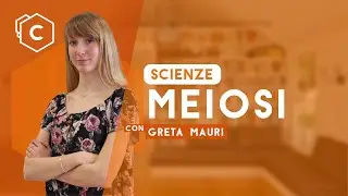 Meiosi | Scienze