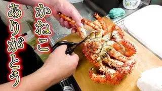 かねこからもらったハナサキガニで