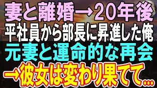 【感動する話】妻と離婚。職場では平社員から部長に昇進していた俺。元妻に20年後再会…元妻の変わり果てた様子に驚愕し、俺は【泣ける話】【いい話】【朗読】