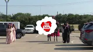 clip horse entrance 2025