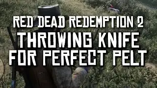 Poison Throwing Knife for a Perfect Pelt &ndash; Red Dead Redemption 2 (RDR2) #rdr2