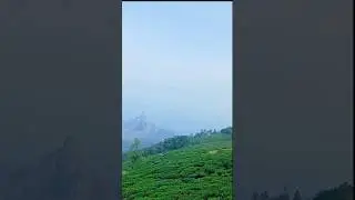 #naturevlog #adventuretravel #tamiltravelvlog #bisonattack #ooty #kodanadu #viralvideo
