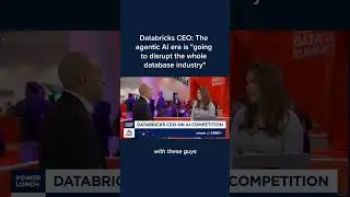 Databricks CEO: The agentic AI era is 'going to disrupt the whole database industry'