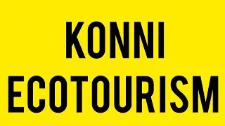 Konni Ecotourism |Elephant museum |Elephant art gallery |Aanapremikal | Elephant videos