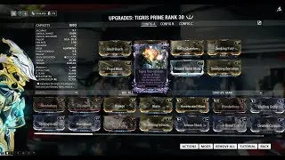 Quick Vids - Tigris Prime Build - Warframe