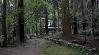 Jingo-Ji