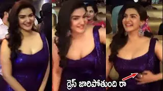Honey Rose Stunning Visuals At Veera Simha Reddy Block Buster Celebrations | Telugu Cinema Brother