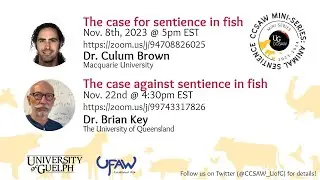 The case against sentience in fish | Dr. Brian Key