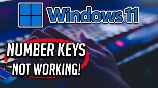 Исправление неработающих цифровых клавиш в Windows 11