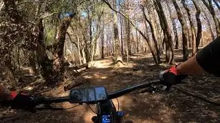 Orchard loop, Annadel Park Santa Rosa, CA