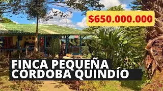 Finca pequeña en venta Córdoba Quindío a sólo 2.5 kilómetros de la plaza principal