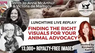 Finding the Right Visuals for Your Animal Advocacy with We Animals Media