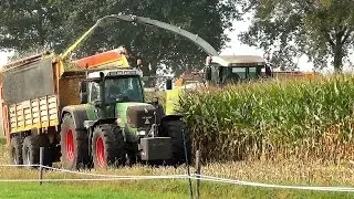 In de mais met Claas Jaguar 890 en 3 Fendt tractoren - Wardenier Vroomshoop