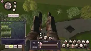 Ever, Jane Flying Carriage Ambience Journey