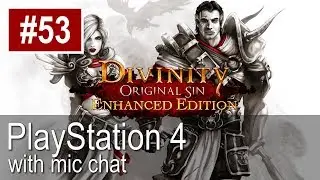 Divinity Original Sin: Enhanced Edition PS4 Gameplay (Let's Play #53) - Luculla Forest