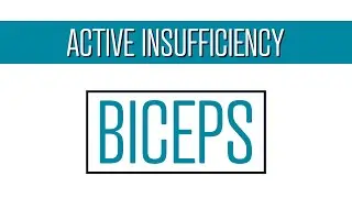 How to make the Biceps Actively Insufficient